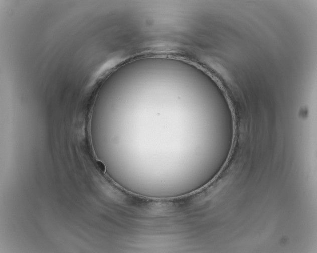 X0000091011451200708161949