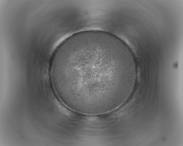 X0000091011452200708161949