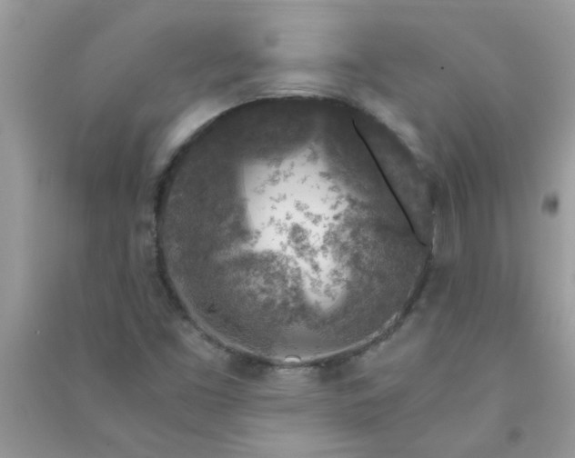 X0000091011453200708161949