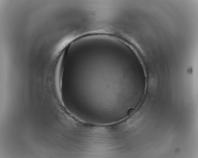 X0000091011455200708161949