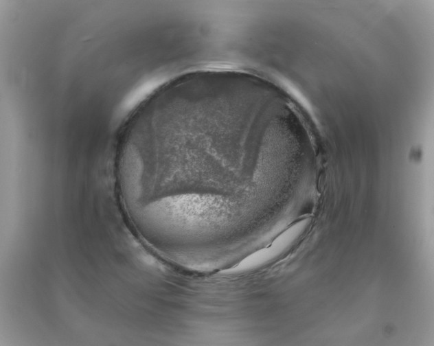 X0000091011456200708161949