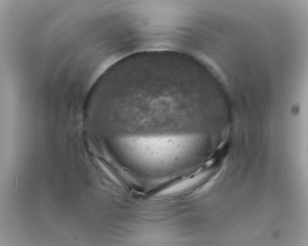 X0000091011457200708161949