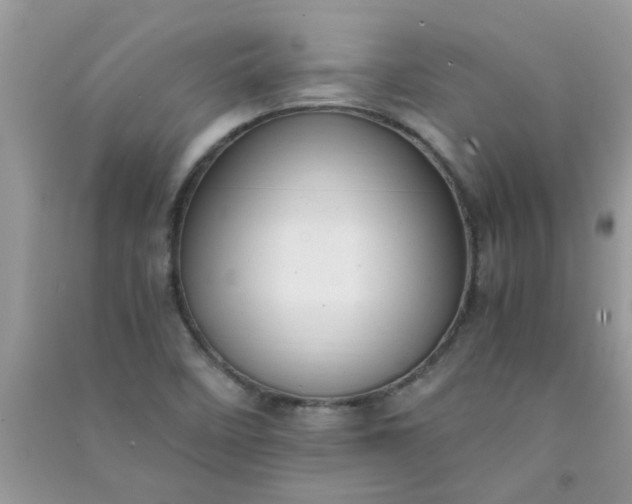 X0000091011458200708161949