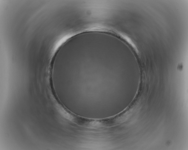 X0000091011463200708161948