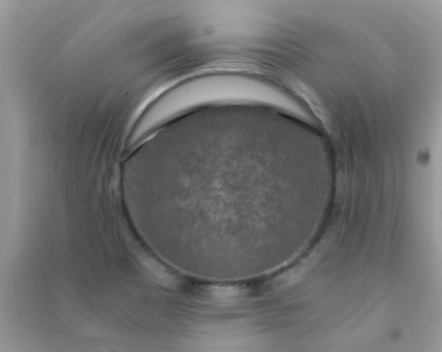 X0000091011465200708161948