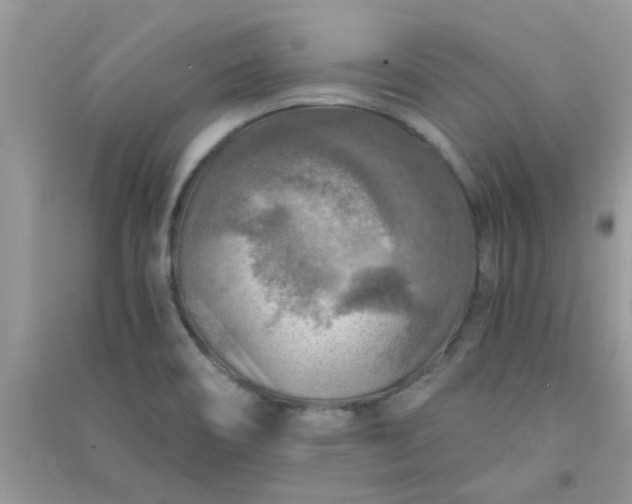 X0000091011466200708161948