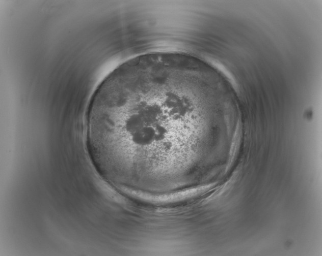 X0000091011467200708161948