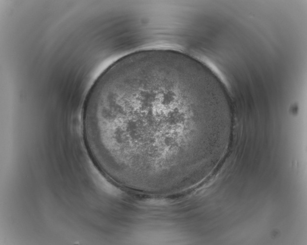 X0000091011468200708161948