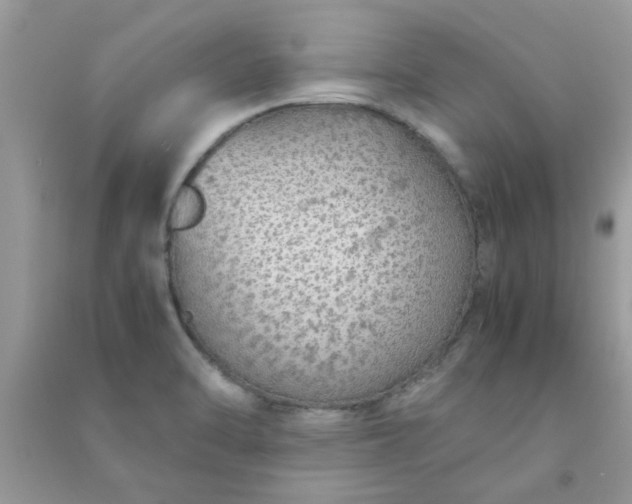 X0000091011470200708161948