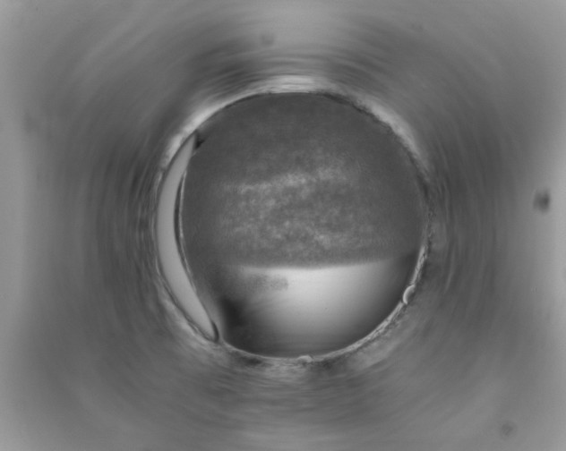 X0000091011473200708161948