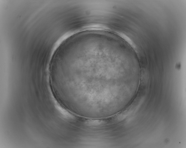 X0000091011474200708161948