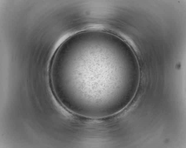 X0000091011475200708161948