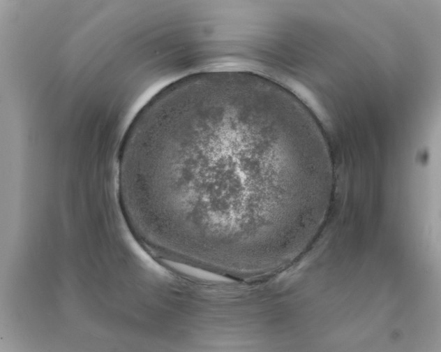 X0000091011476200708161948