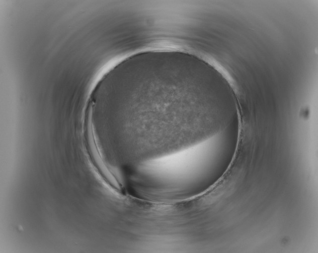 X0000091011477200708161948