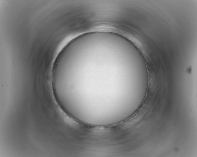 X0000091011478200708161948