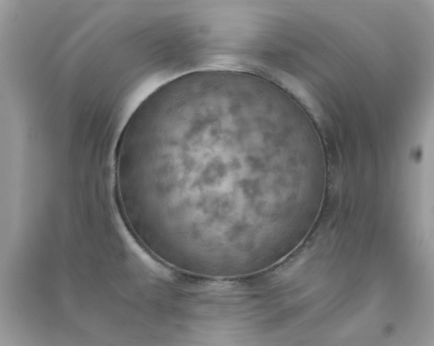 X0000091011479200708161948
