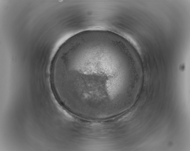 X0000091011480200708161948