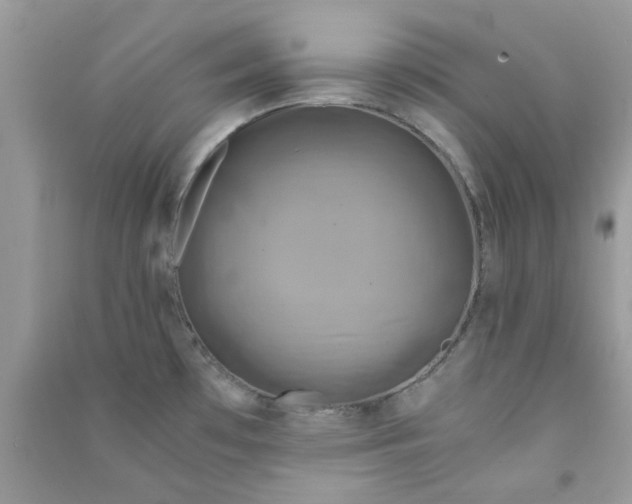 X0000091011481200708161948