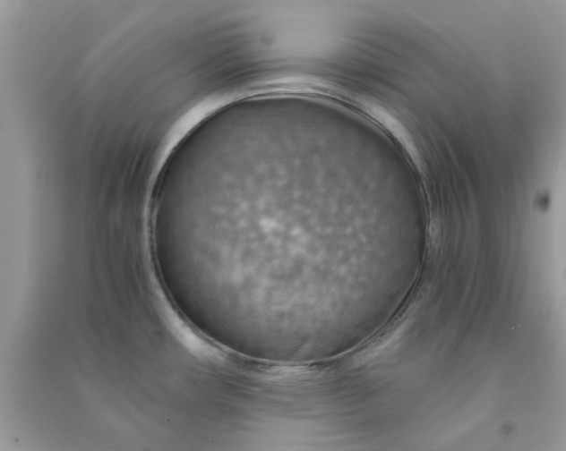 X0000091011482200708161948