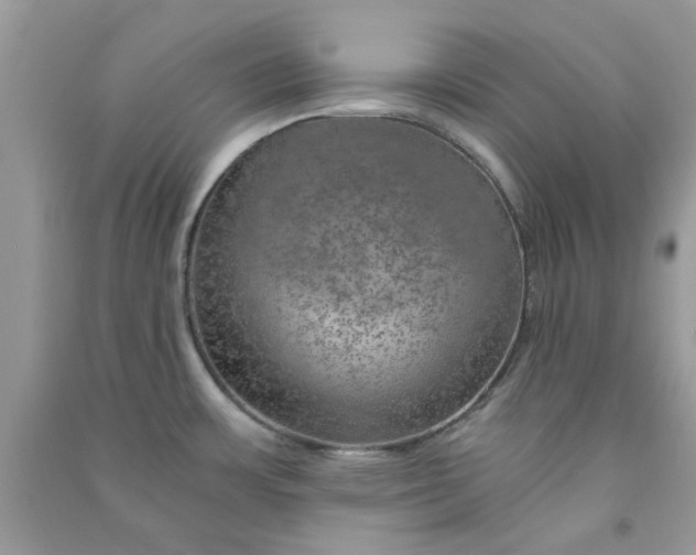 X0000091011483200708161948