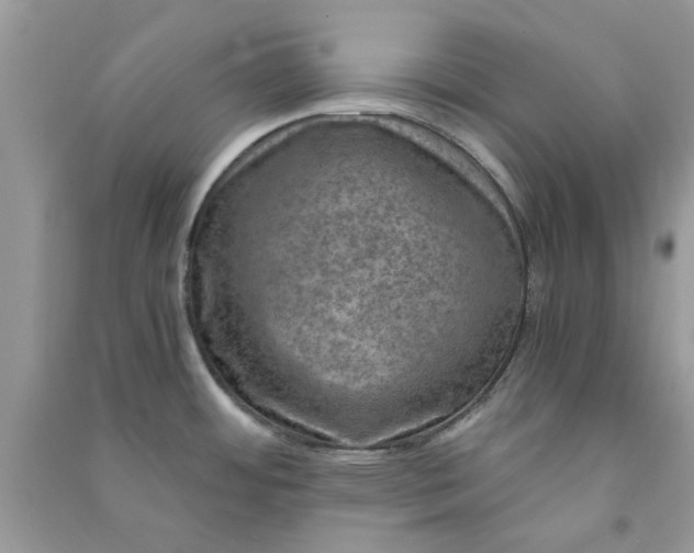 X0000091011484200708161948