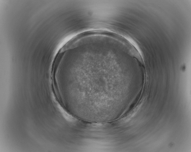 X0000091011485200708161948