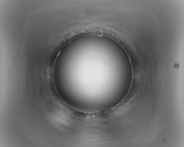 X0000091011490200708161948