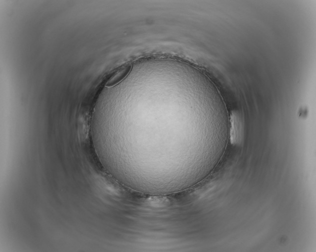 X0000091011491200708161948