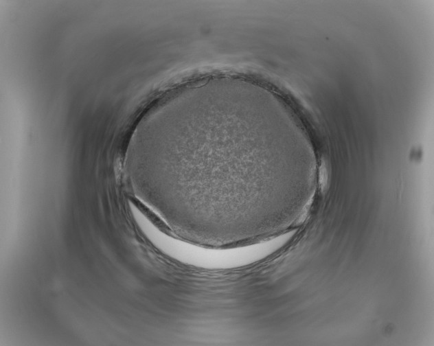 X0000091011492200708161948