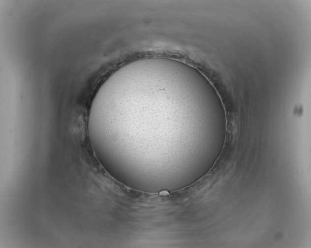 X0000091011493200708161948
