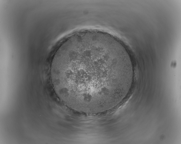 X0000091011494200708161948