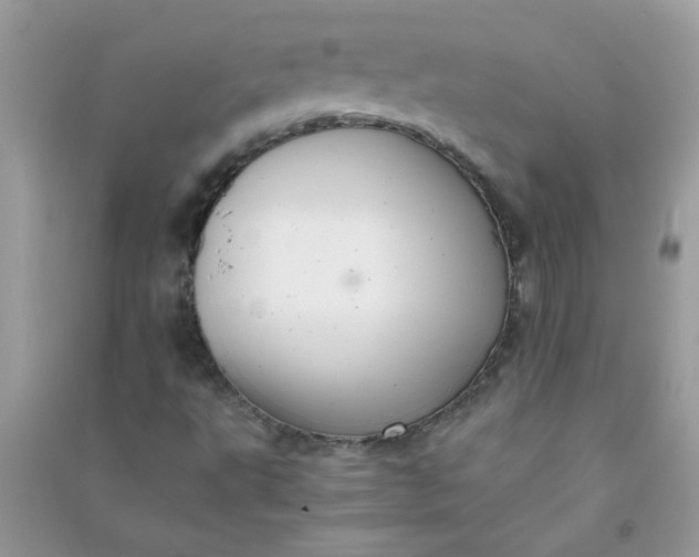 X0000091011495200708161948