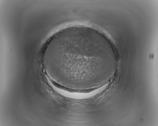 X0000091011496200708161948