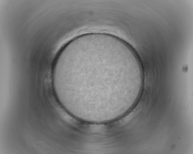 X0000091011498200708161948