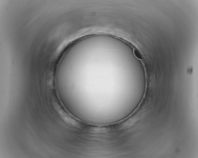 X0000091011499200708161948