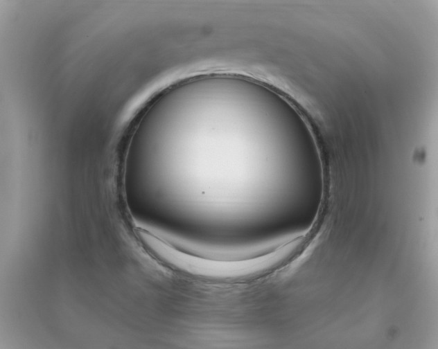 X0000091011502200708161948