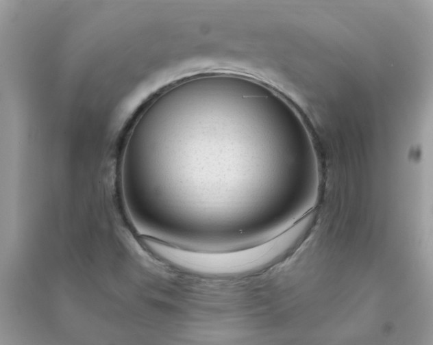 X0000091011503200708161948
