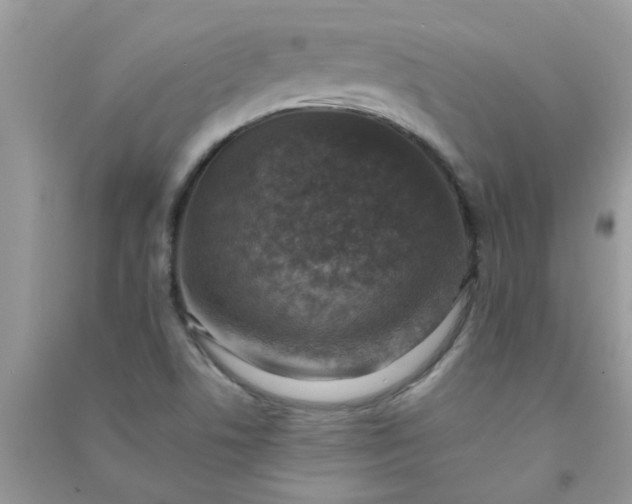 X0000091011506200708161948