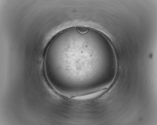 X0000091011507200708161948
