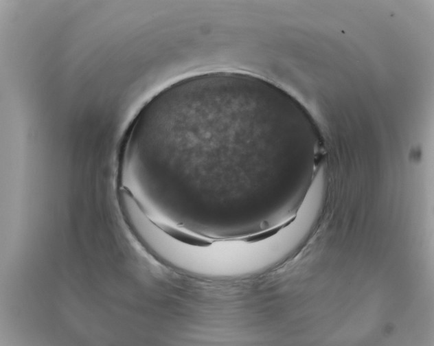 X0000091011508200708161948