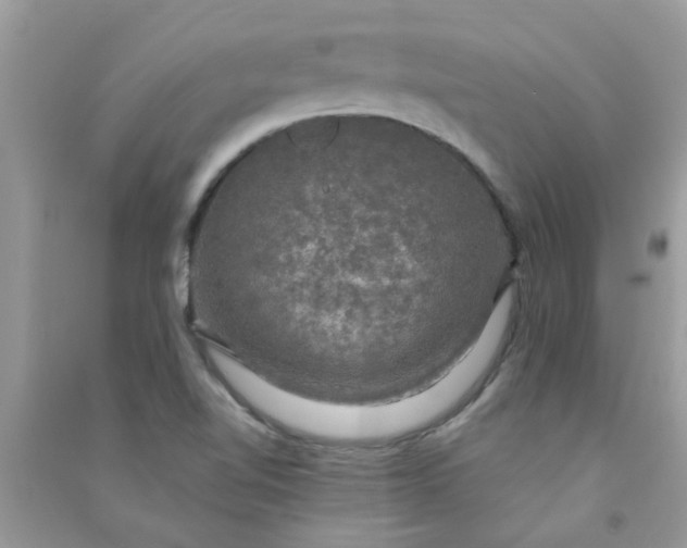 X0000091011510200708161948