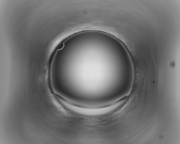 X0000091011511200708161948