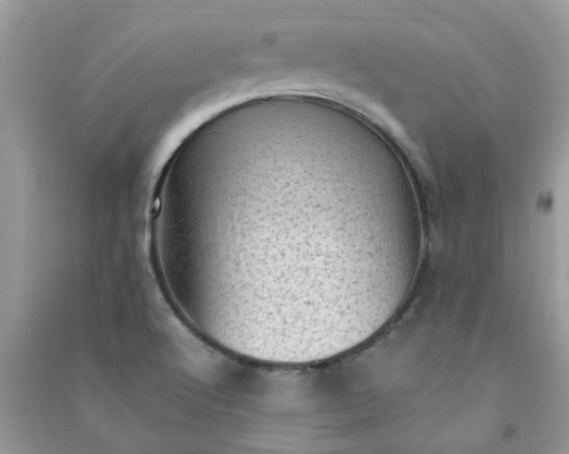 X0000091011512200708161948