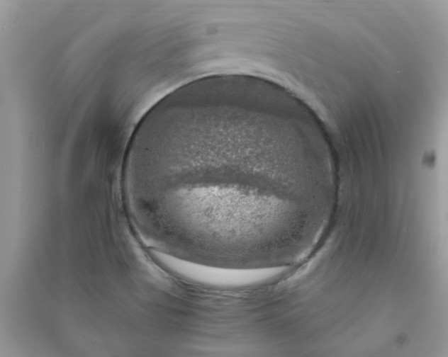 X0000091011513200708161948