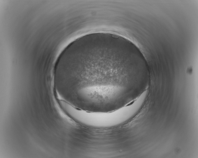 X0000091011515200708161948