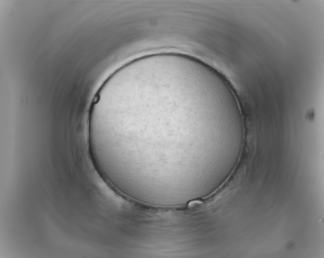 X0000091011516200708161948