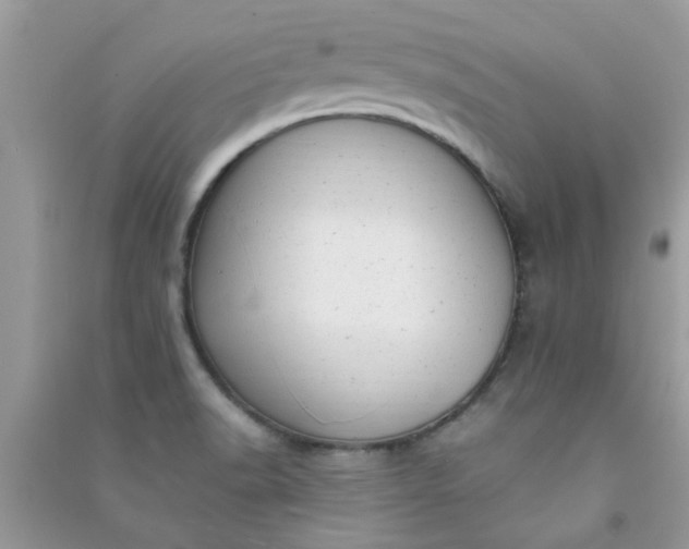 X0000091011518200708161948