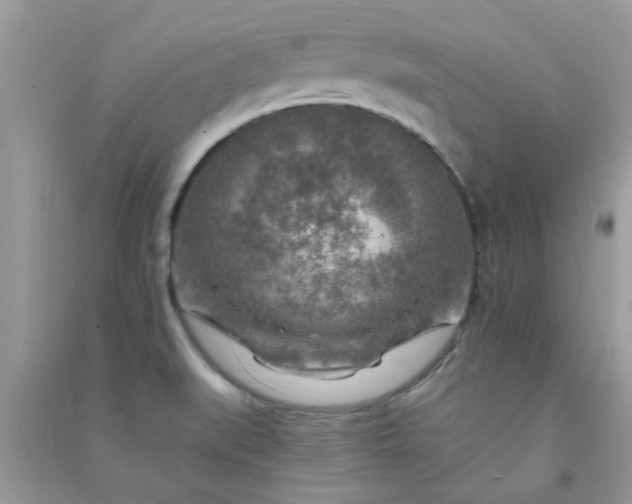 X0000091011519200708161948