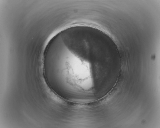 X0000091011522200708161948