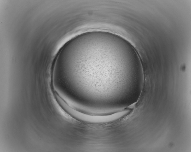 X0000091011523200708161948